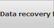 Data recovery for Palatine data