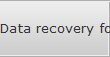 Data recovery for Palatine data